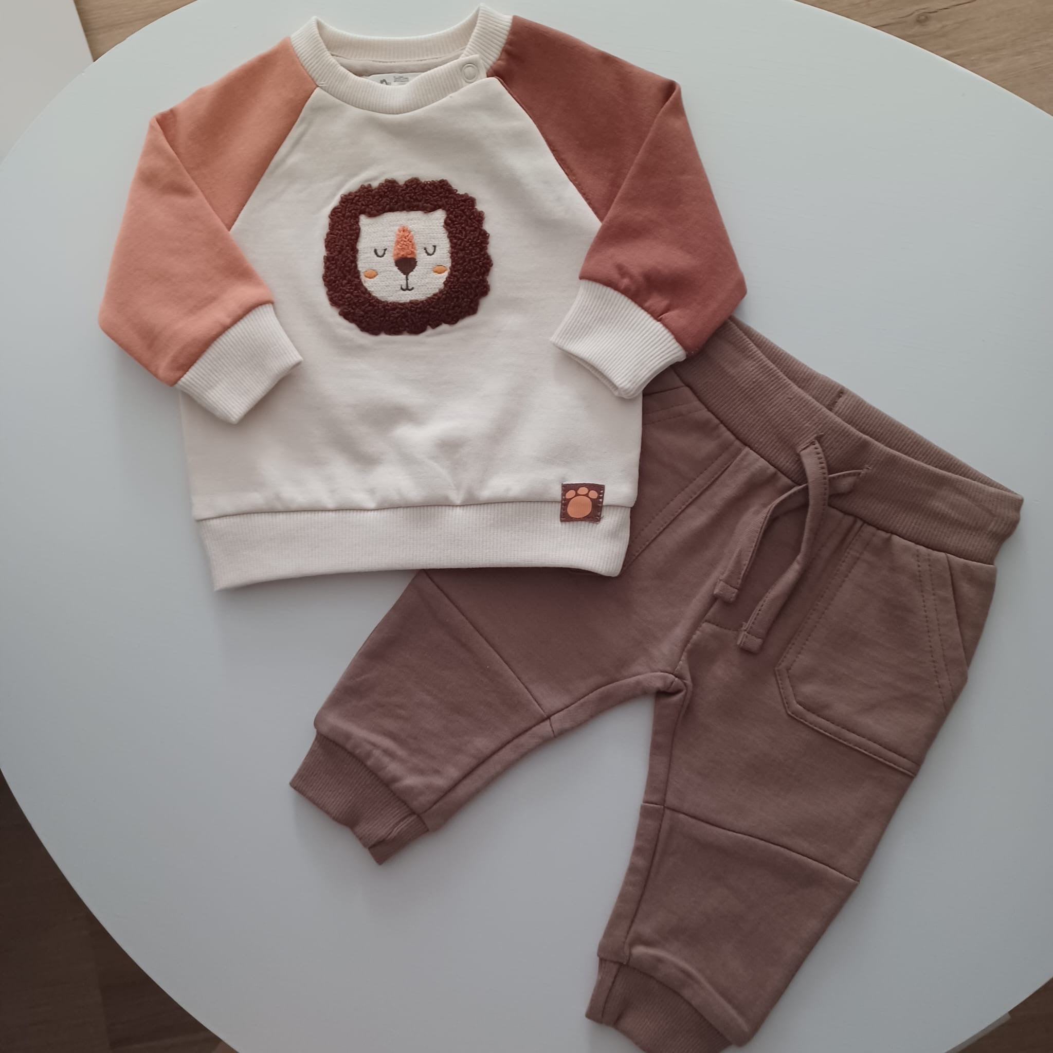 Conjunto do leãozinho
