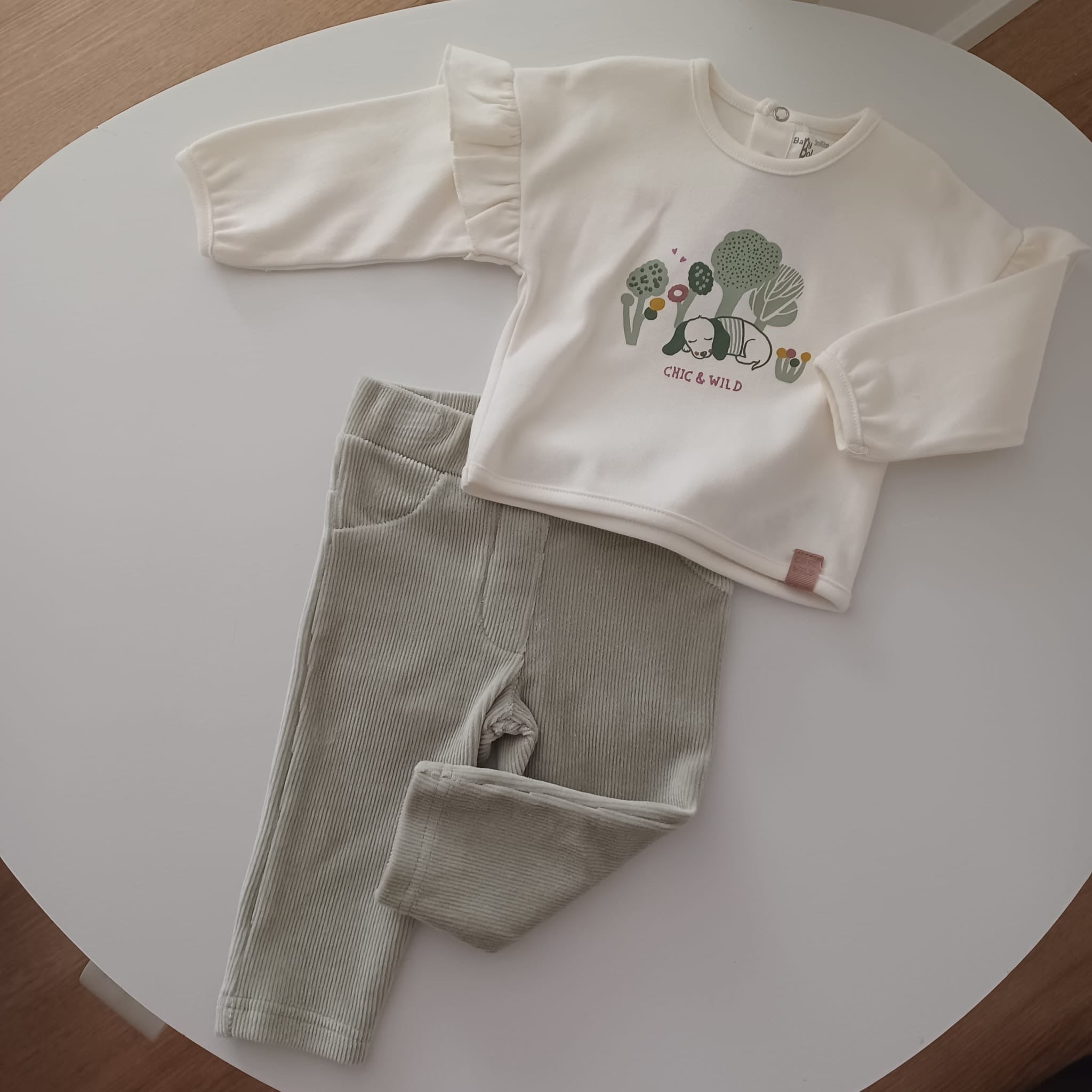 Conjunto do cãozinho