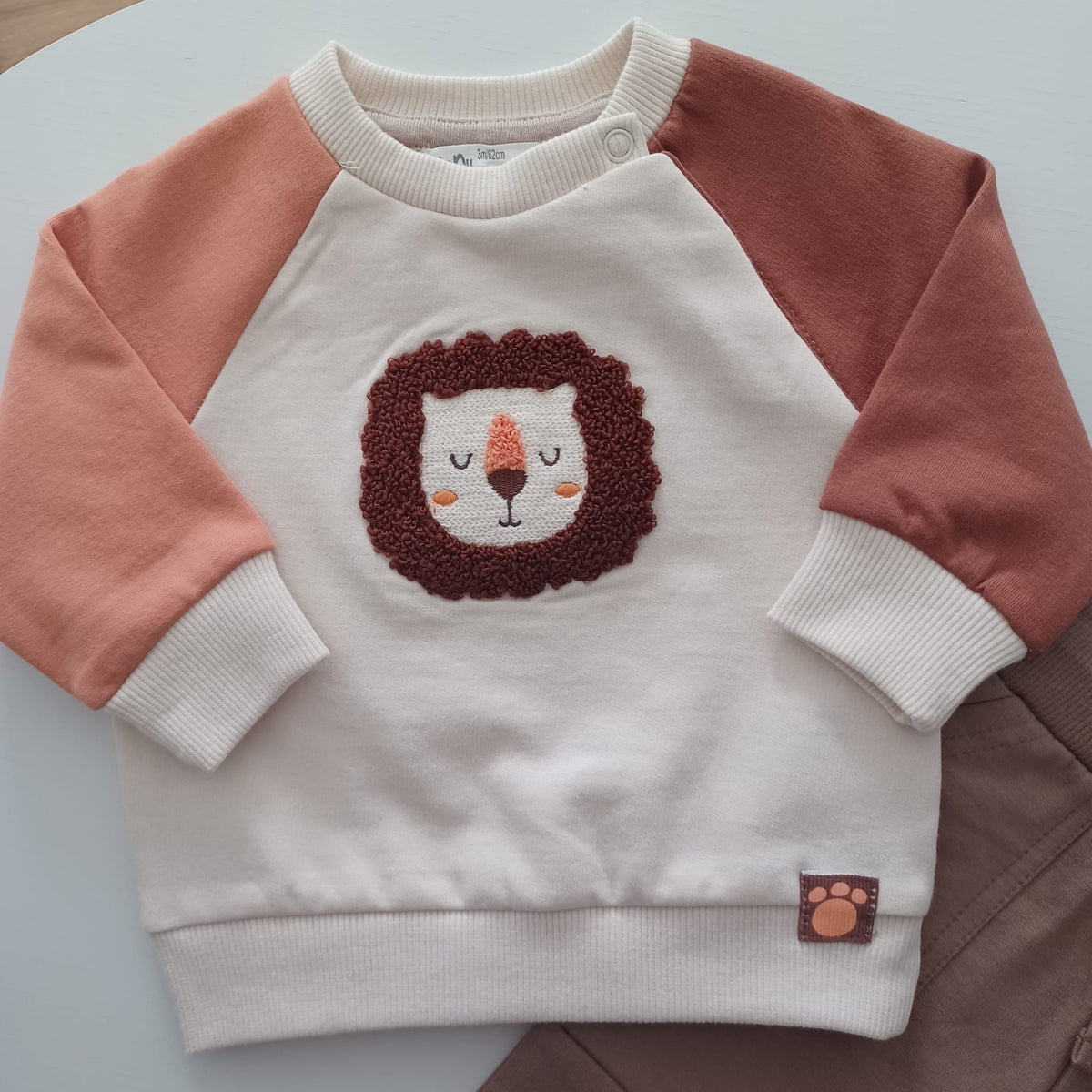 Conjunto do leãozinho