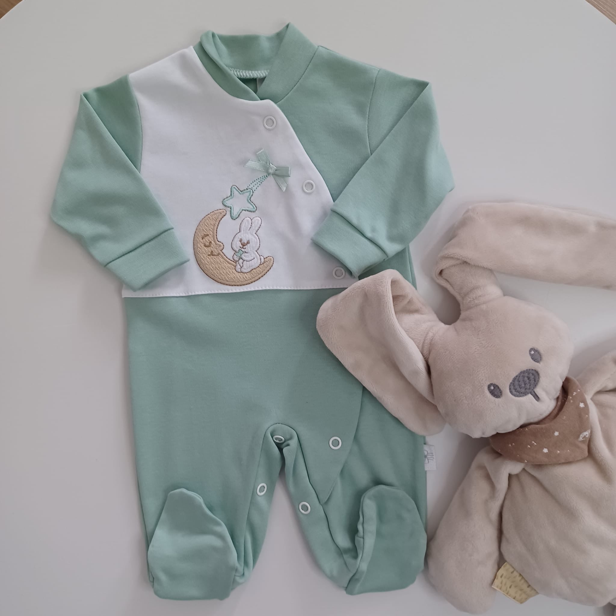 Babygrows - coleção coelho na lua