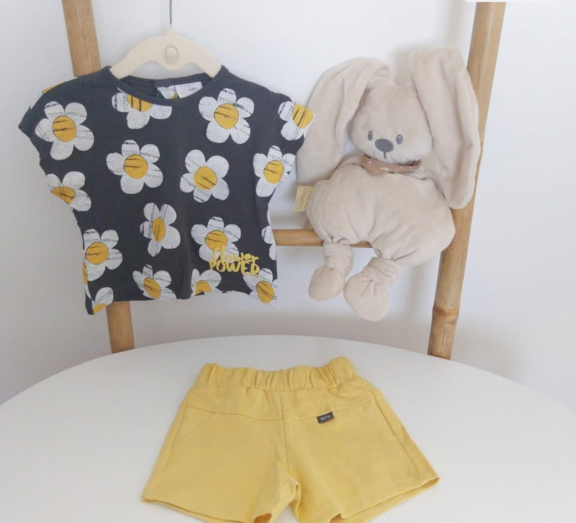Conjunto malmequeres