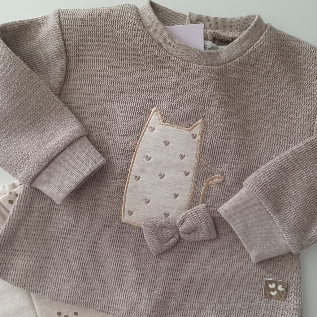Conjunto do gatinho dos corações