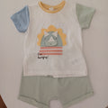 Conjunto do dinossauro