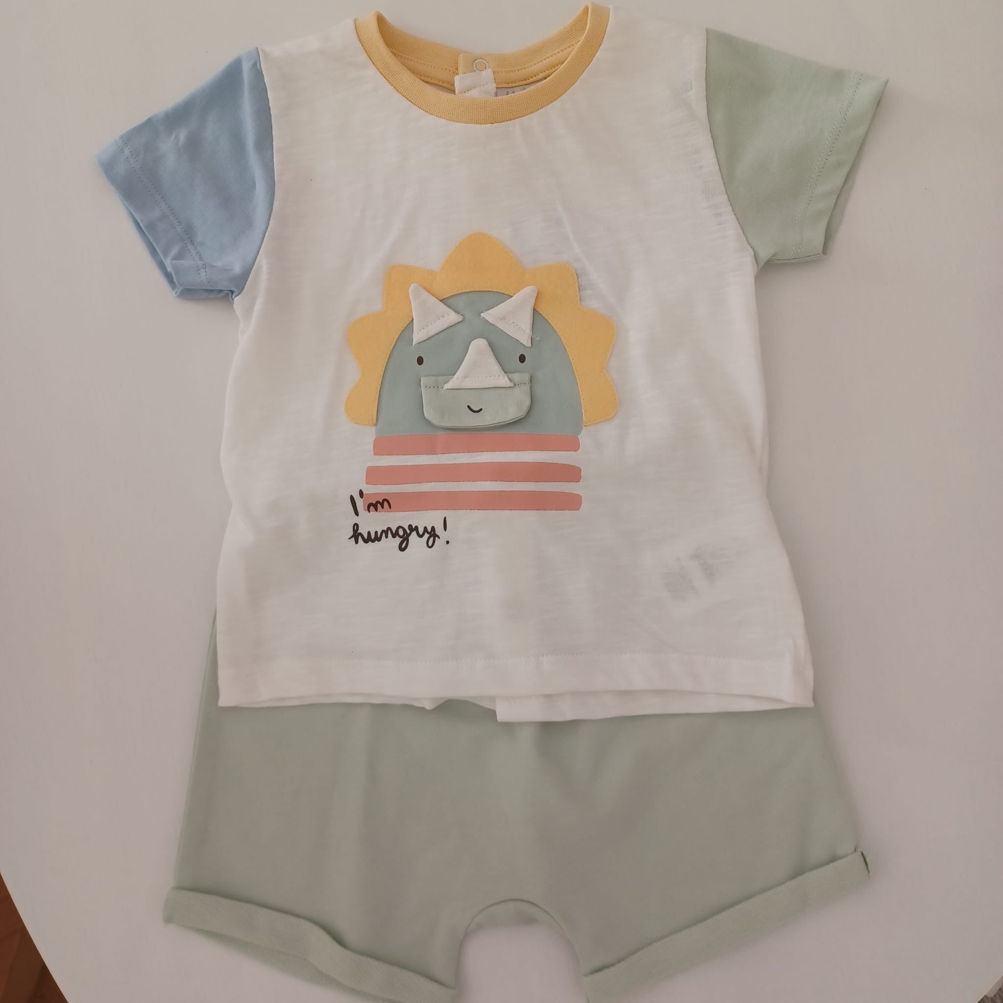 Conjunto do dinossauro