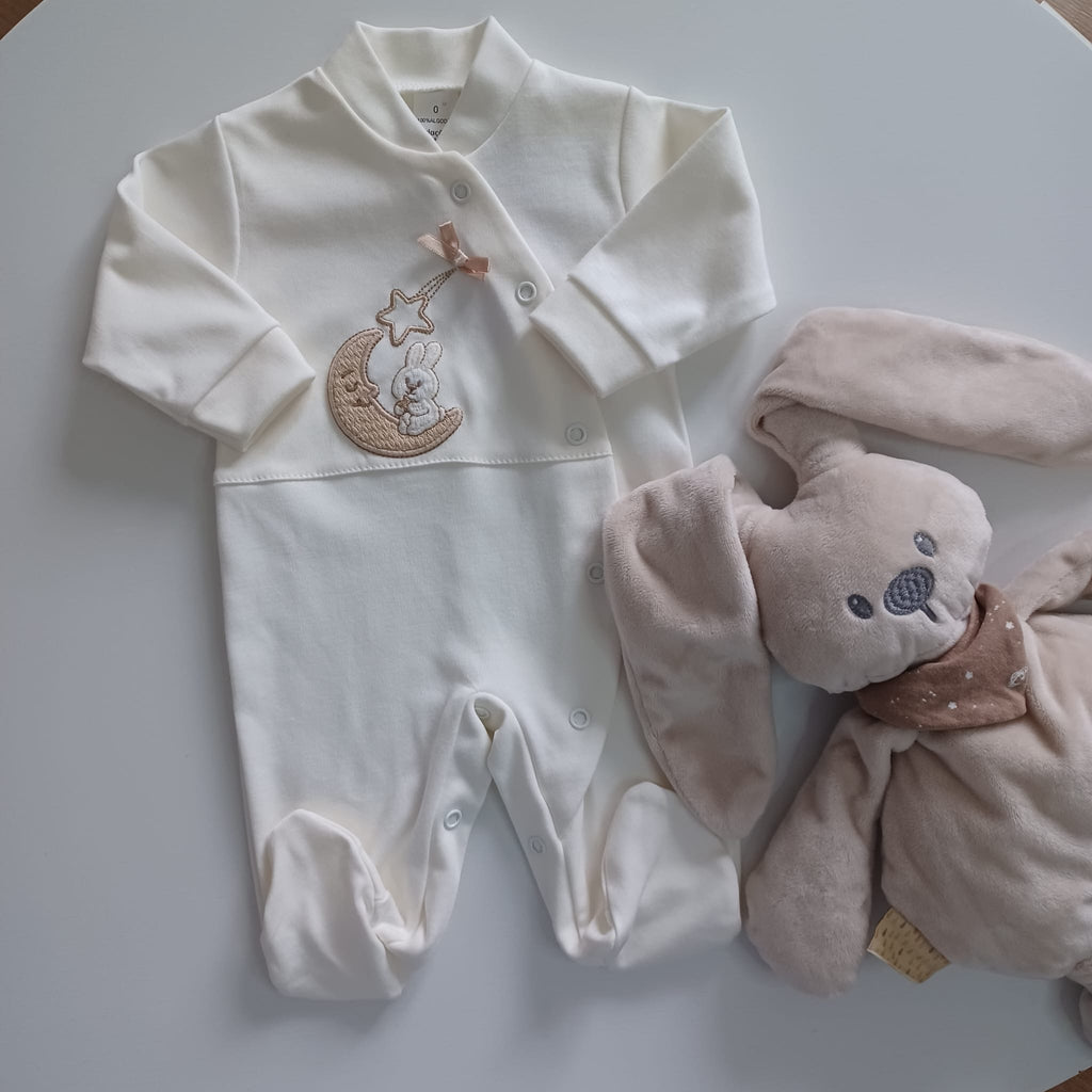 Babygrows - coleção coelho na lua