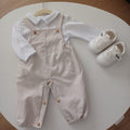 Conjunto de jardineiras das riscas
