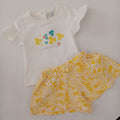 Conjunto das florzinhas